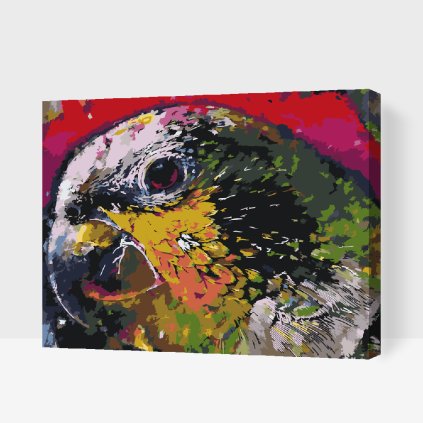 Paint by Number - Parrot Head