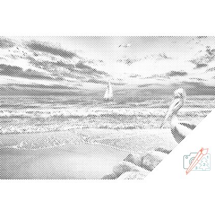 Dotting points - Pelican and Boat