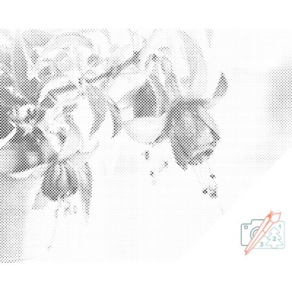 Dotting points - Fuchsia in a Flowerpot