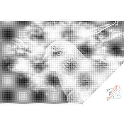 Dotting points - Falcon