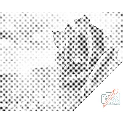 Dotting points - Bee on the Rose