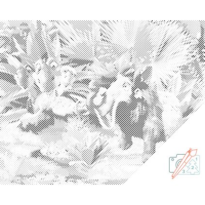 Dotting points - Ice Age