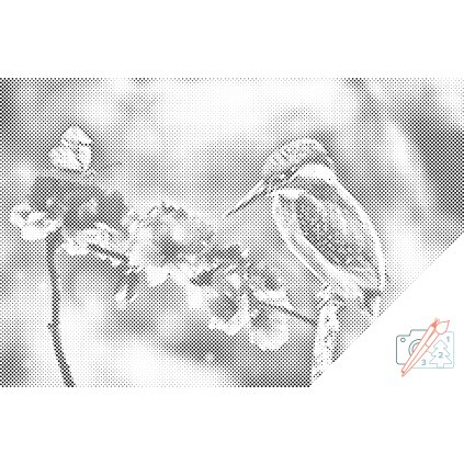 Dotting points - Butterfly and Kingfisher