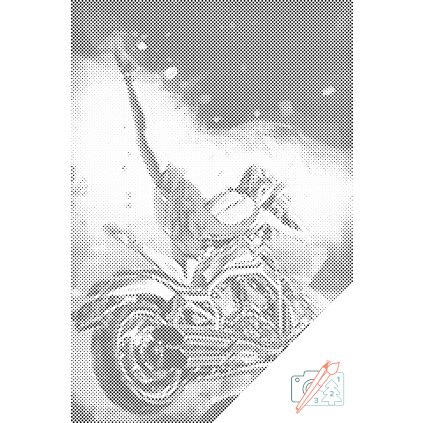 Dotting points - Lady on a Motorcycle