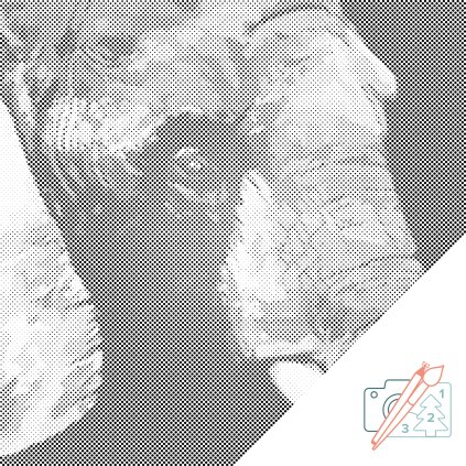 Dotting points - Elephant Head