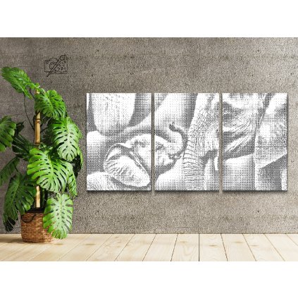 Dotting points - Elephant Family (set of 3)