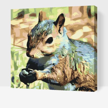 Paint by Number - Squirrel 