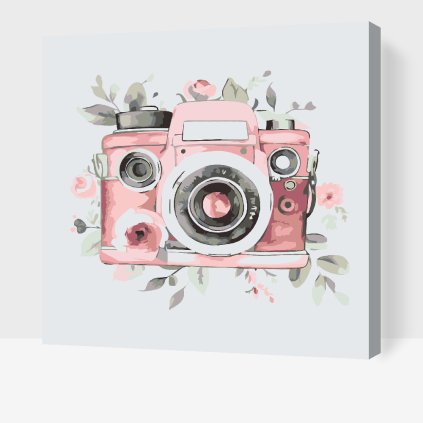 Paint by Number - Flowery camera