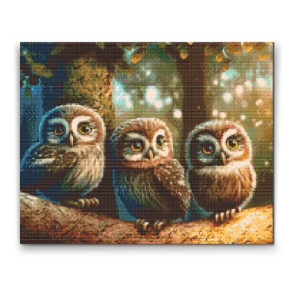 Diamond Painting - Three owlets (set of 3)