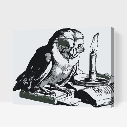 Paint by Number - Educate Owl