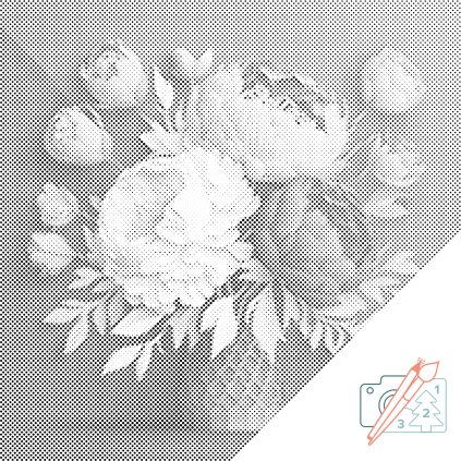 Tečkování - Kytice pivoněk