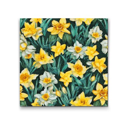 Diamantové malování - Květinové pozadí - Narcisy