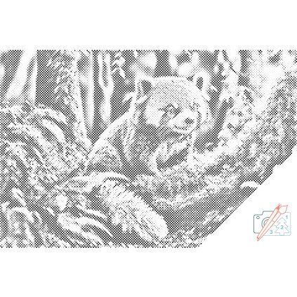 Tečkování - Červená panda