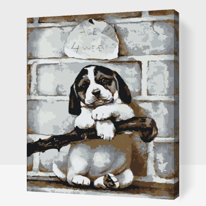 Paint by Number - 4 Week Old Puppy