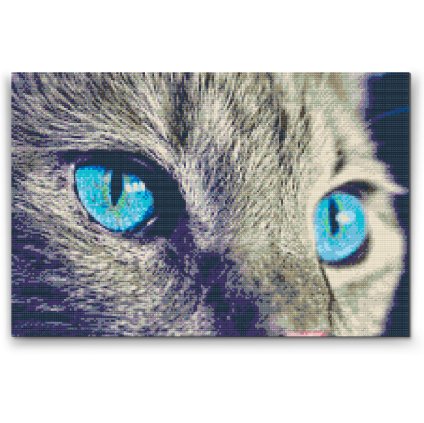 Diamond Painting - Sharp Look