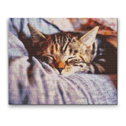 Diamond Painting - Sleeping Kitty
