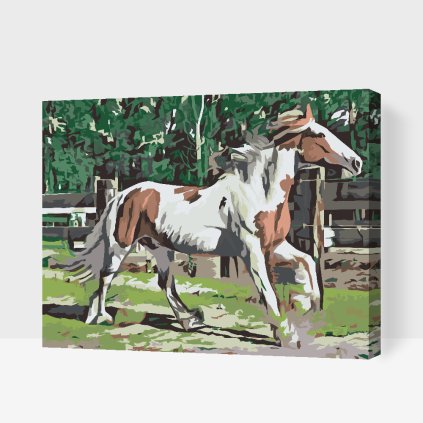 Paint by Number - Horse in the Corral