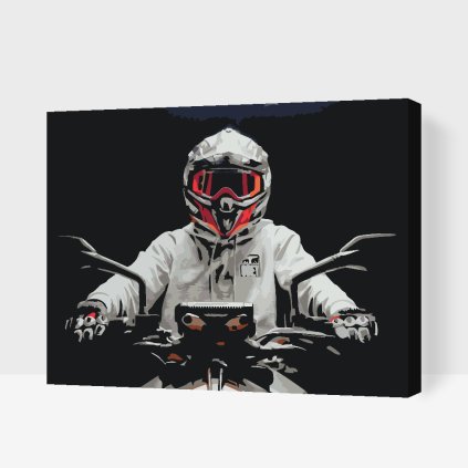 Paint by Number - Biker