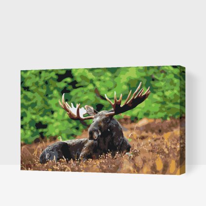 Paint by Number - Moose