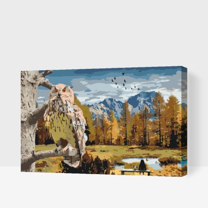 Paint by Number - Owl in the Forest
