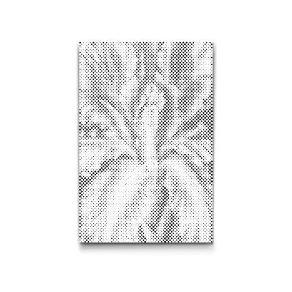 M2_Dotting_Points_-_Iris_flower