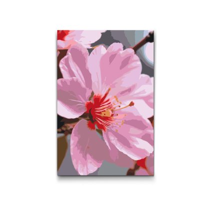 M2_Painting_by_Numbers_-_Cherry_blossom