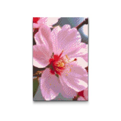 M2_Diamond_Paintings_-_Cherry_blossom