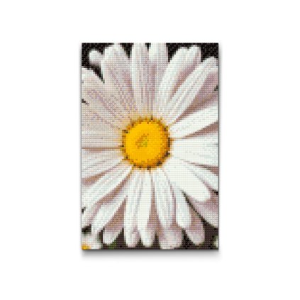 M2_Diamond_Paintings_-_Daisy_flower