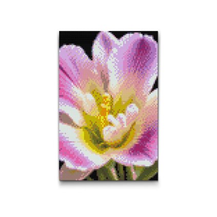 M2_Diamond_Paintings_-_Freesia_flower