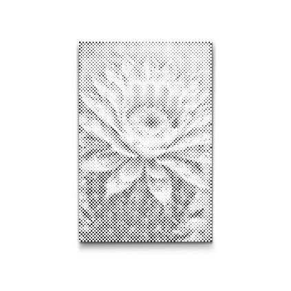 M2_Dotting_Points_-_Cactus_flower