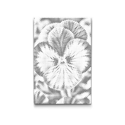 M2_Dotting_Points_-_Pansy_flower