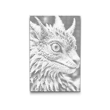 M2_Dotting_Points_-_Baby_dragon