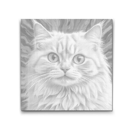 M2_Dotting_Points_-_Cat_in_shades_of_pink