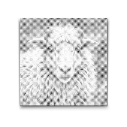 M2_Dotting_Points_-_Sheep_in_shades_of_turquoise_and_orange