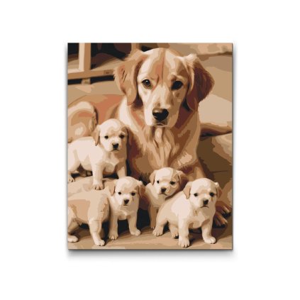 M2_Painting_by_Numbers_-_Golden_retriever_and_puppies