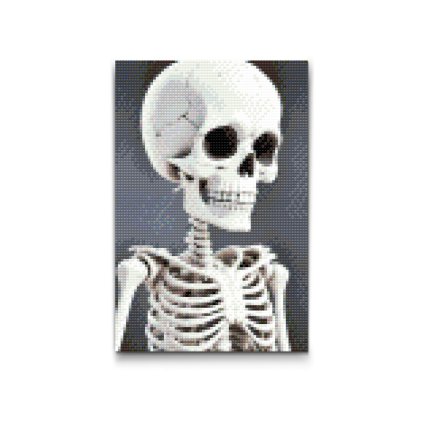 M2_Diamond_Paintings_-_Skeleton