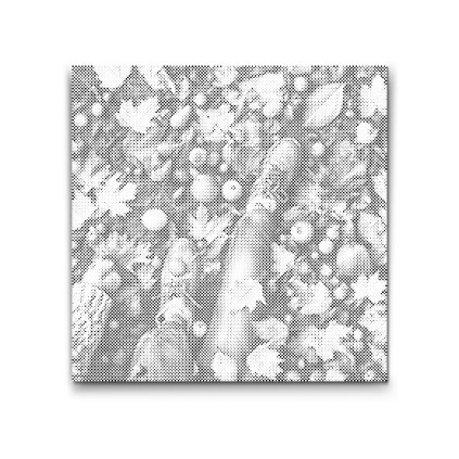 M2_Dotting_Points_-_Autumn_Fruits