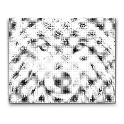 M2_Dotting_Points_-_Snowy_wolf