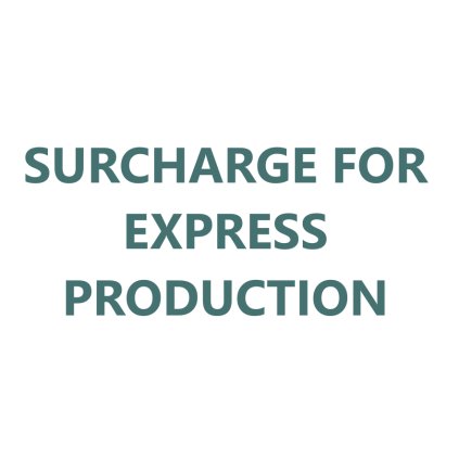 Snímek obrazovky 2025 01 22 131654