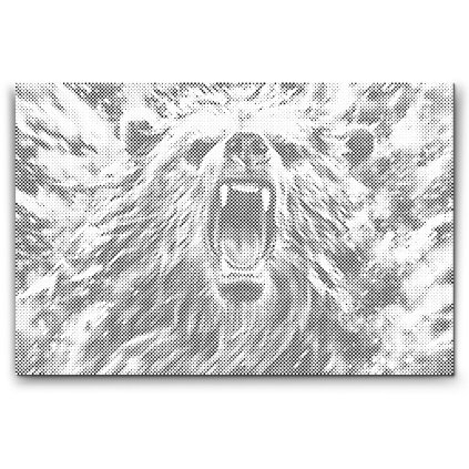 M2_Dotting_Points_-_Angry_bear