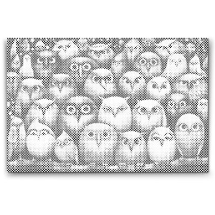 M2_Dotting_Points_-_Birds_wherever_you_look