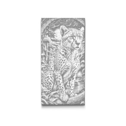 M2_Dotting_Points_-_Majestic_leopard