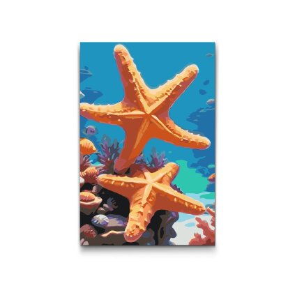 M2_Painting_by_Numbers_-_Starfish