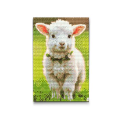 M2_Diamond_Paintings_-_Spring_lamb