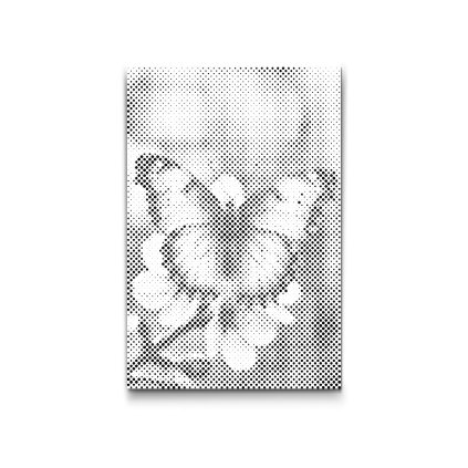 M2_Dotting_Points_-_Butterfly_on_a_spring_branch