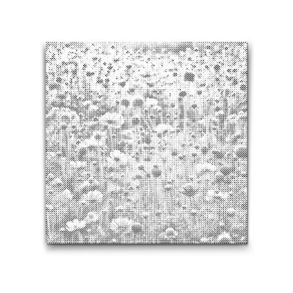 M2_Dotting_Points_-_A_golden_field_of_memories