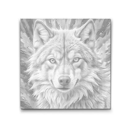 M2_Dotting_Points_-_Wolf_in_shades_of_pink