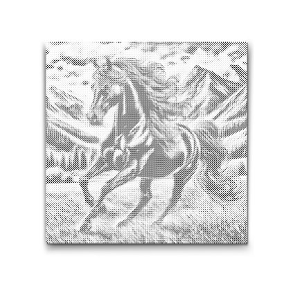 M2_Dotting_Points_-_Black_stallion