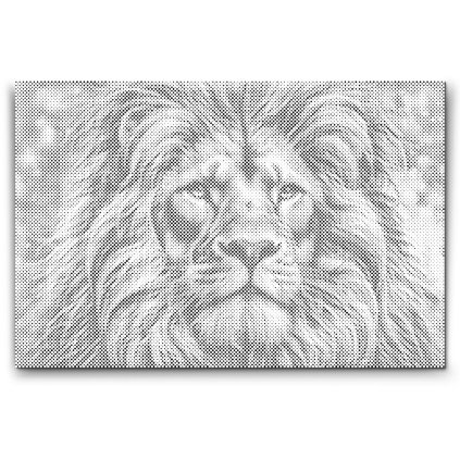 M2_Dotting_Points_-_Colorful_lion_5