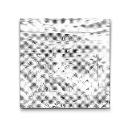 M2_Dotting_Points_-_Maui,_Hawaii